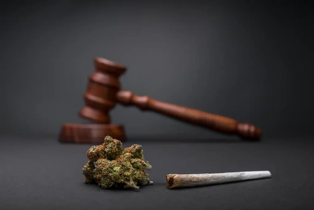 cannabis législation régularisation