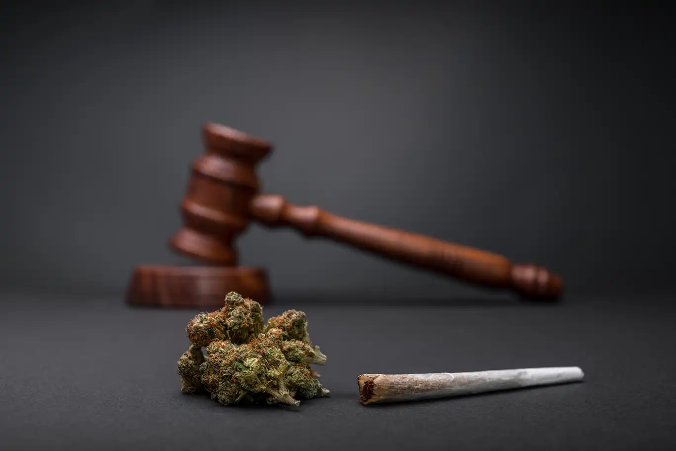 cannabis législation régularisation